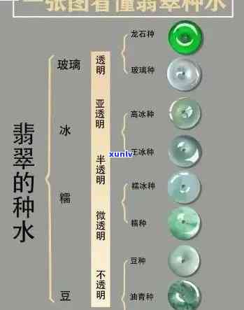 翡翠颜色详解：翠绿、冰种、飘翠等常见色调及选购技巧