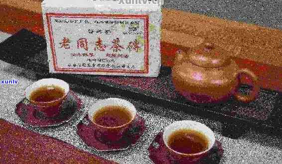 老同志普洱茶专卖店：优质普洱茶品鉴与购买指南