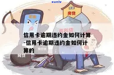 信用卡逾期金怎么算