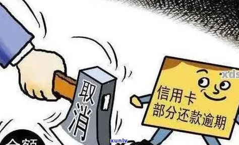 信用卡逾期还款减免政策：司法调解的作用与影响分析