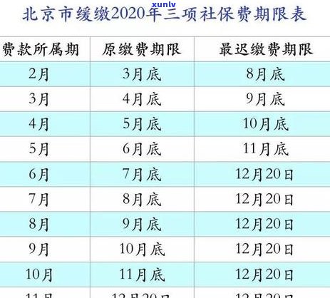 2020年信用卡逾期减免政策全解析：如何减免费用、申请条件及时间表一次看懂