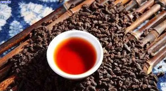 普洱茶的度：热气、暖胃还是驱寒利器？