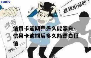 信用卡逾期该不该坦白