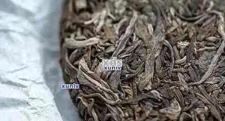 倚邦正山普洱茶：品种特点、 *** 工艺、品饮技巧与收藏价值全方位解析