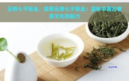 云南十八怪原版茶叶：品茗之旅的全方位指南，了解茶文化、品种与口感