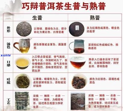 云南十八怪原版茶叶：品茗之旅的全方位指南，了解茶文化、品种与口感