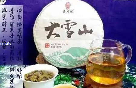 大雪山普洱茶：减肥效果、适宜人群与饮用 *** 全面解析