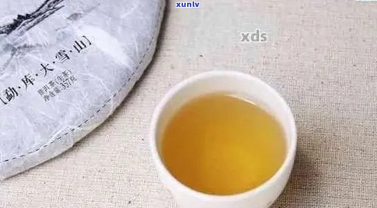 大雪山普洱茶：品质、口感与陈化潜力分析