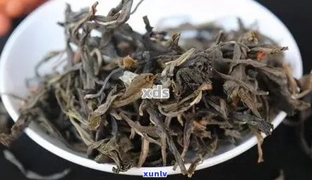 大雪山普洱茶特点和口感：凤庆产区的高品质体验