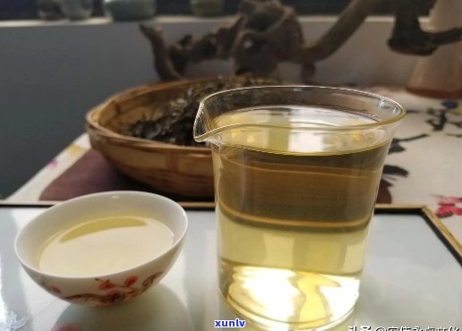 在家喝普洱茶好不好