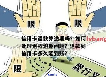 信用卡逾期罚息如何退还？退款流程及注意事项全面解析