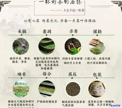 如何在网上购买普洱茶？需要注意哪些事项？