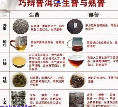 转化能力强的普洱茶品种及特点：哪些和品种更优秀？