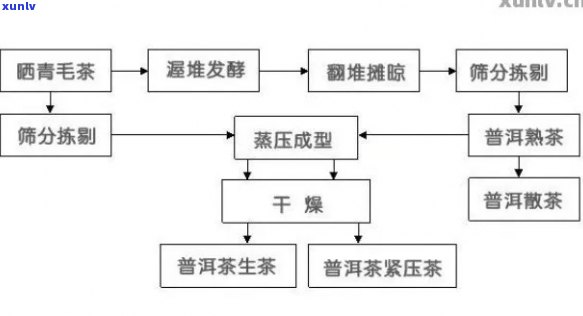 普洱茶加速转化-普洱茶加速转化技术