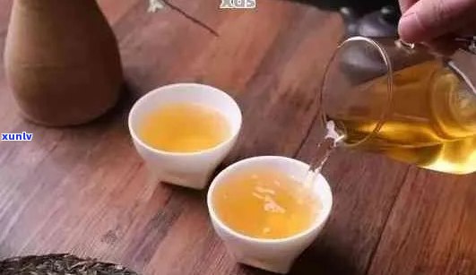 小白和小五品茗普洱茶：如何选择、冲泡与品鉴，让茶香四溢的技巧全解析