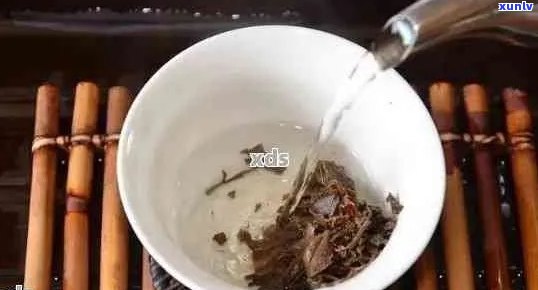 小白和小五品茗普洱茶：如何选择、冲泡与品鉴，让茶香四溢的技巧全解析