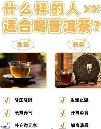 结石患者能否饮用普洱茶？普洱茶对结石的影响与注意事项全解析