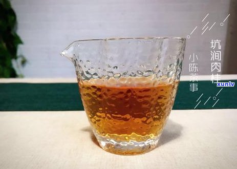 全方位解析：5g普洱茶减肥计划，科学配方助力健消脂