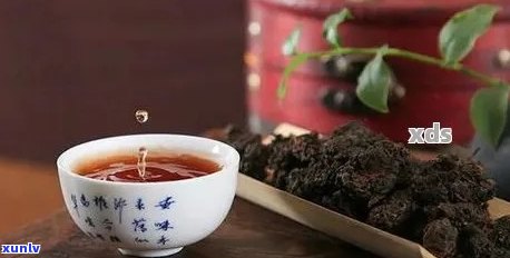 普洱茶与罗汉果泡茶的比较：哪个更适合泡茶？