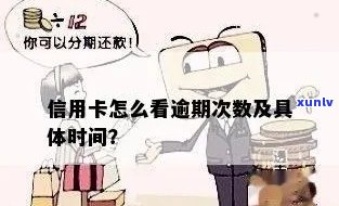 如何看信用卡逾期没有