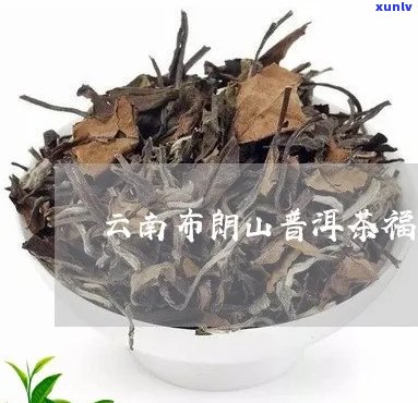 布朗正山普洱茶福字