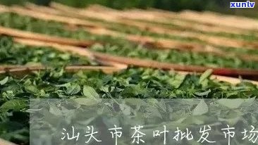 汕头茶叶场在哪里