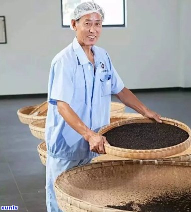 大益普洱茶厂长：传承古道，匠心独运的普洱茶 *** 大师