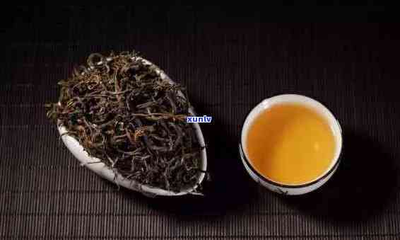 南方人喝普洱茶的选择：全面了解各种普洱茶的特点与适用人群