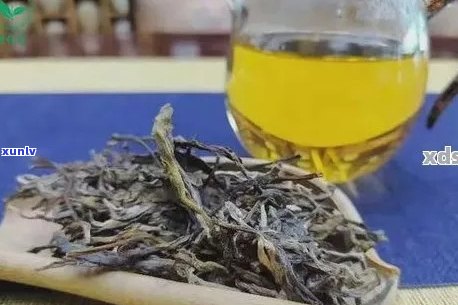 南方人喝哪种普洱茶比较好：推荐几种适合南方人的普洱茶