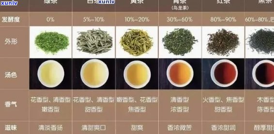 南方地区茶叶种类与特点：了解南方人的茶饮惯