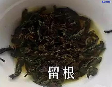 普洱茶冲泡技巧：如何用一块普洱茶？