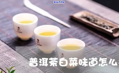 普洱茶与白菜结合的新品味：茶香白菜煲的做法和功效 | 健饮食，美食佳肴