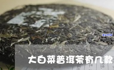 普洱茶大白菜好喝吗