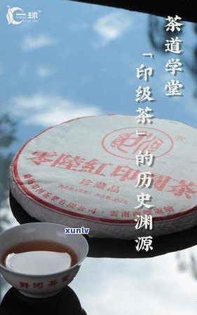 封口红印的普洱茶