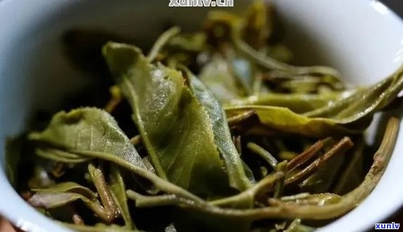 普洱茶饼麻嘴原因及解决办法：普洱茶饼苦涩怎么回事？