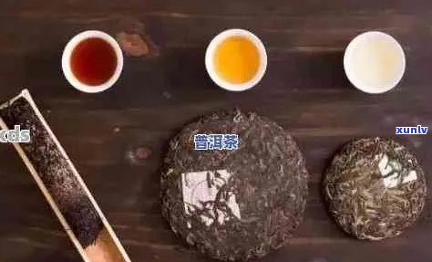 普洱茶为什么抢手货那么多人买？