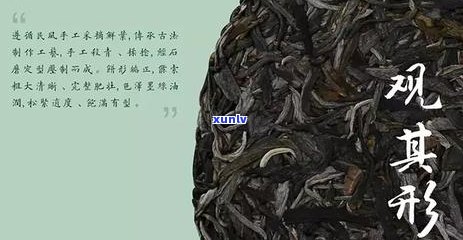 普洱茶价格下跌：市场竞争加剧与消费者口味转变的原因分析