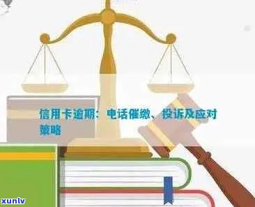 新律师介入信用卡欠款问题：原因、影响与解决方案