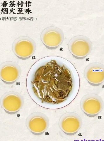 新 普洱茶生茶：色香味形的深度解读与品鉴技巧