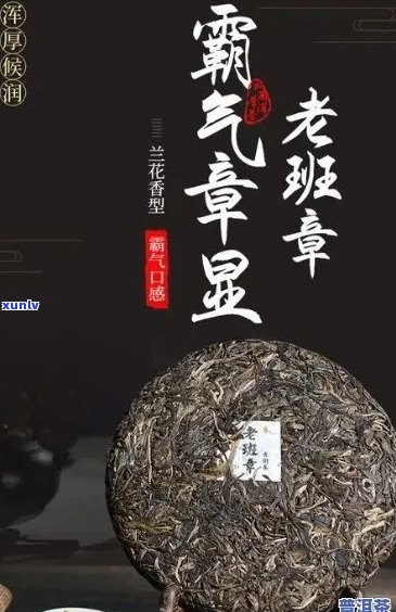 普洱茶价格表大全：老班普洱茶各个年份、等级、规格的价格详细解析