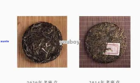 普洱茶价格表大全：老班普洱茶各个年份、等级、规格的价格详细解析