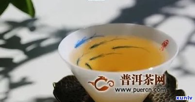 益木堂薄荷塘普洱茶：品质特点、冲泡 *** 与口感体验详解，助您选购与品鉴