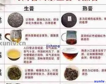 普洱茶的麦号品种：哪些种类值得一试？