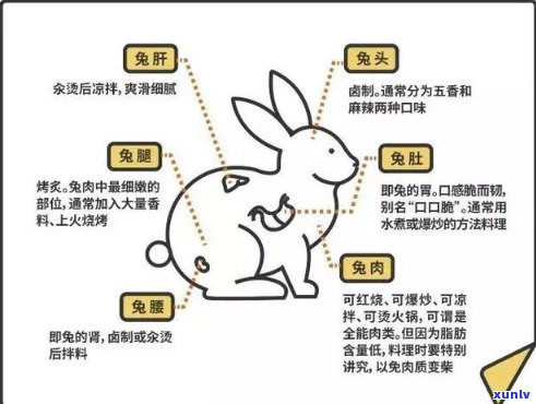 兔肉食用后是否适宜搭配红茶饮用：一份详尽的研究分析