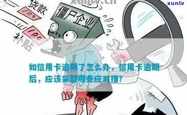 客户如果信用卡逾期不还