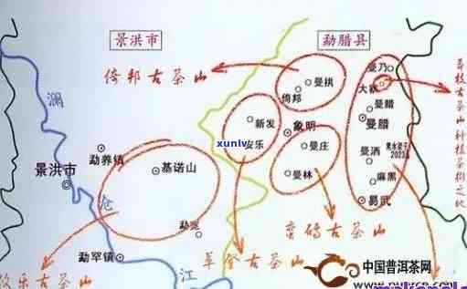 六山开普洱茶全方位解析：价格、品质与选购指南