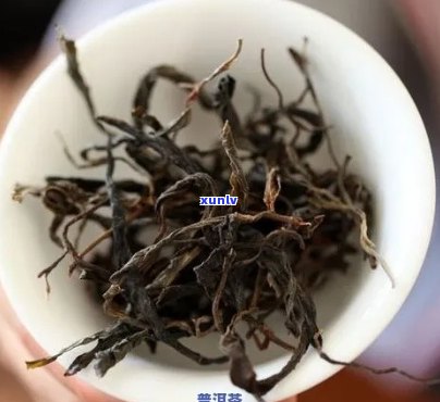 普洱马蹄梗：茶青中的马蹄与普洱的结合，一起泡出的茶叶马蹄梗