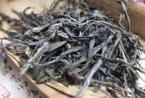 普洱马蹄梗：茶青中的马蹄与普洱的结合，一起泡出的茶叶马蹄梗