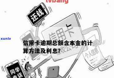 欠信用卡逾期后怎么还本金？如何解决逾期还款问题？