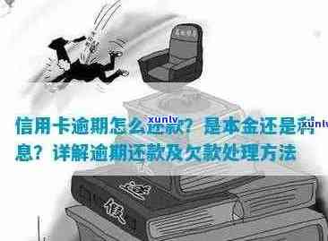 欠信用卡逾期后怎么还本金？如何解决逾期还款问题？